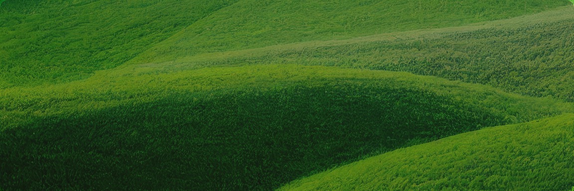 Z6·人生就是博(中国区)有限公司官网